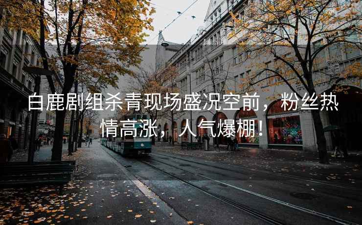 白鹿劇組殺青現(xiàn)場(chǎng)盛況空前，粉絲熱情高漲，人氣爆棚！