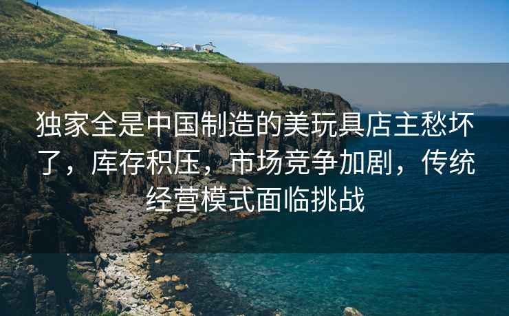 獨家全是中國制造的美玩具店主愁壞了，庫存積壓，市場競爭加劇，傳統(tǒng)經營模式面臨挑戰(zhàn)