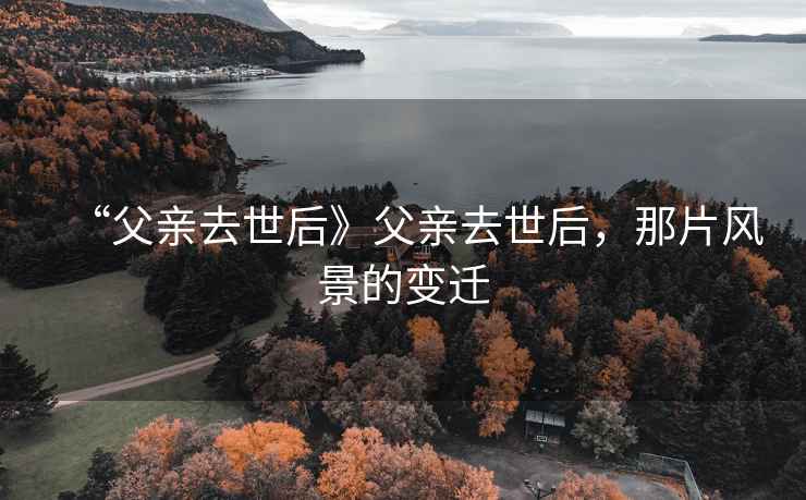“父親去世后》父親去世后，那片風(fēng)景的變遷
