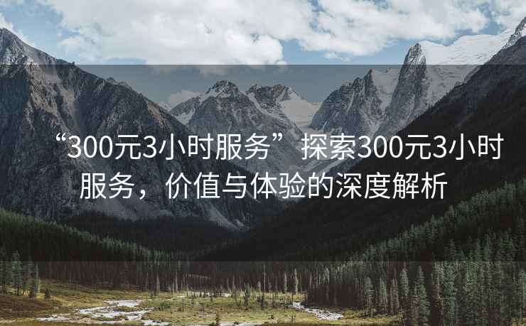 “300元3小時服務”探索300元3小時服務，價值與體驗的深度解析