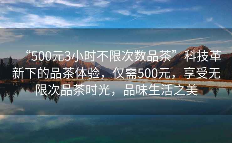 “500元3小時不限次數品茶”科技革新下的品茶體驗，僅需500元，享受無限次品茶時光，品味生活之美