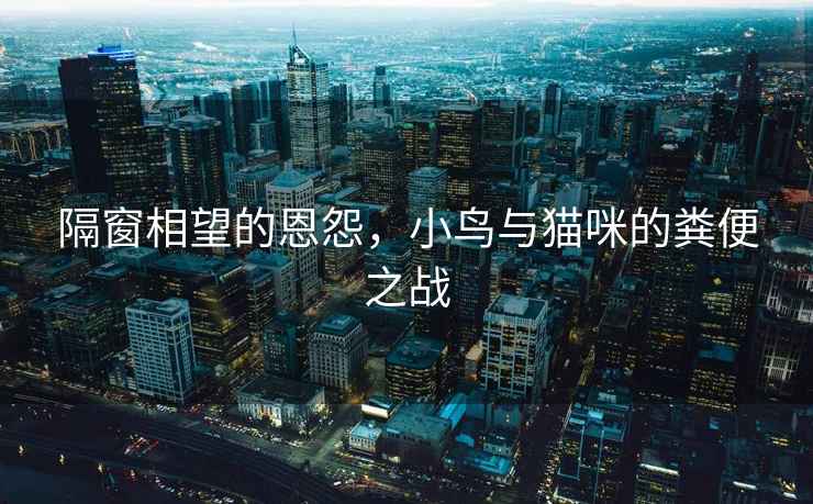 隔窗相望的恩怨，小鳥與貓咪的糞便之戰