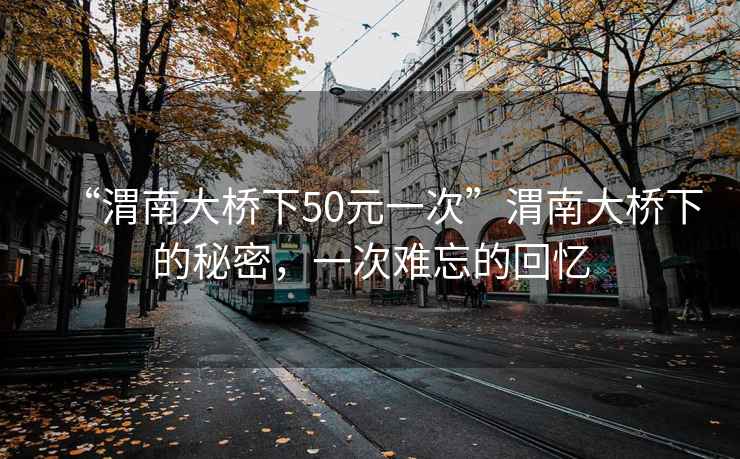 “渭南大橋下50元一次”渭南大橋下的秘密，一次難忘的回憶