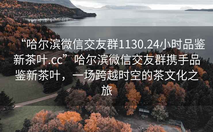 “哈爾濱微信交友群1130.24小時品鑒新茶葉.cc”哈爾濱微信交友群攜手品鑒新茶葉，一場跨越時空的茶文化之旅