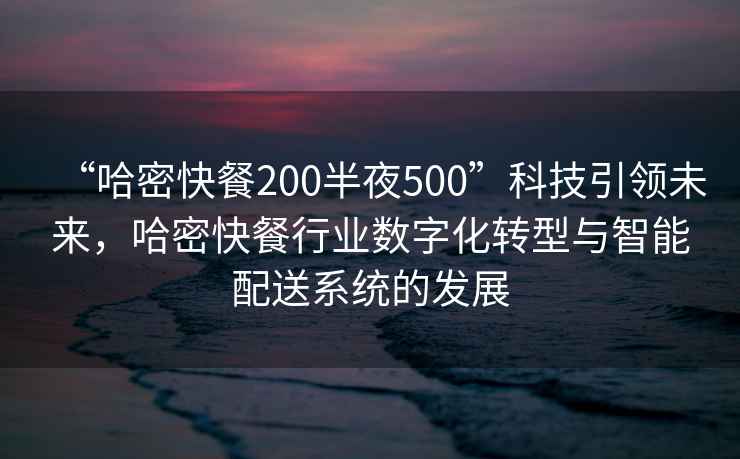 “哈密快餐200半夜500”科技引領未來，哈密快餐行業數字化轉型與智能配送系統的發展