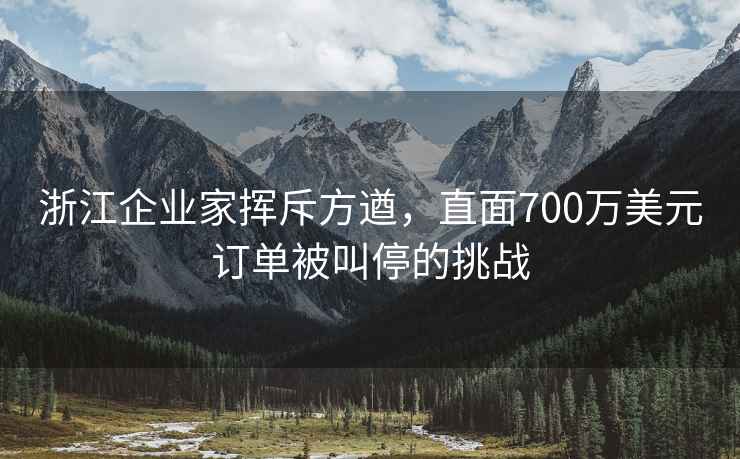 浙江企業(yè)家揮斥方遒，直面700萬美元訂單被叫停的挑戰(zhàn)