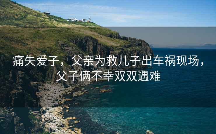 痛失愛子，父親為救兒子出車禍現(xiàn)場，父子倆不幸雙雙遇難