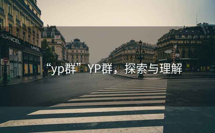 “yp群”YP群，探索與理解