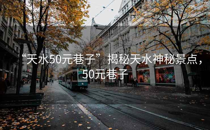 “天水50元巷子”揭秘天水神秘景點(diǎn)，50元巷子