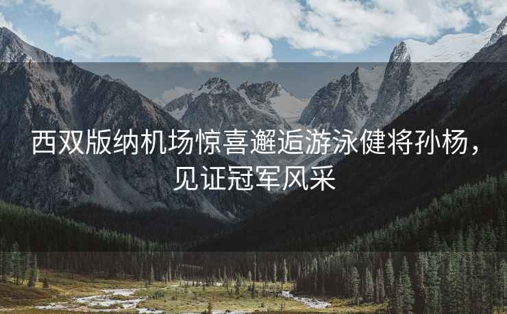 西雙版納機場驚喜邂逅游泳健將孫楊，見證冠軍風采