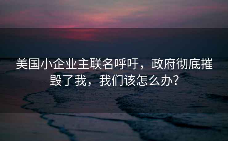 美國小企業(yè)主聯(lián)名呼吁，政府徹底摧毀了我，我們該怎么辦？