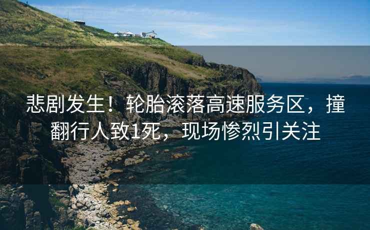 悲劇發生！輪胎滾落高速服務區，撞翻行人致1死，現場慘烈引關注