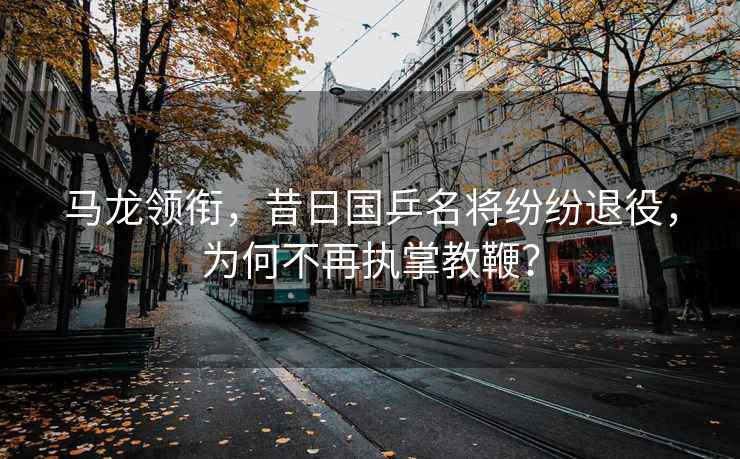 馬龍領銜，昔日國乒名將紛紛退役，為何不再執掌教鞭？