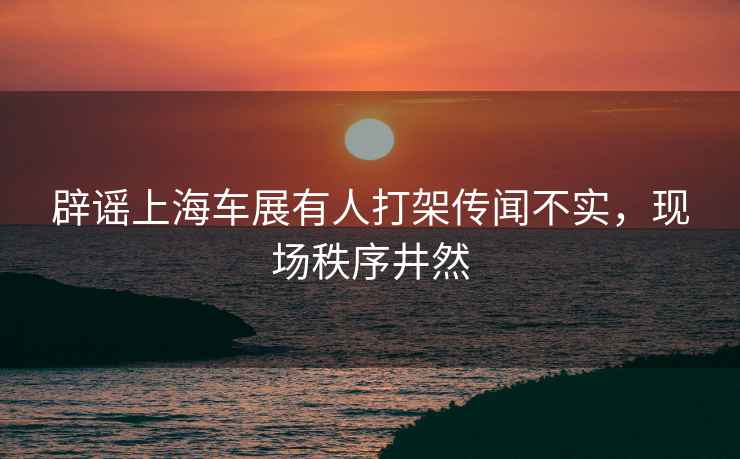 辟謠上海車展有人打架傳聞不實(shí)，現(xiàn)場(chǎng)秩序井然