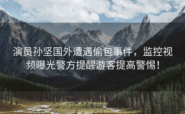 演員孫堅(jiān)國(guó)外遭遇偷包事件，監(jiān)控視頻曝光警方提醒游客提高警惕！