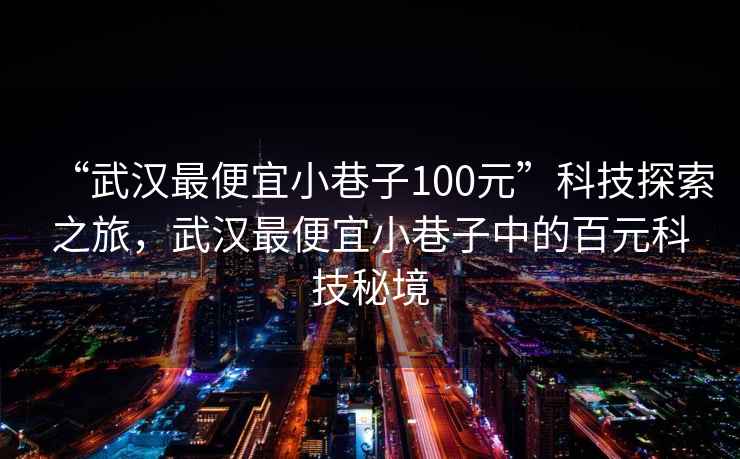 “武漢最便宜小巷子100元”科技探索之旅，武漢最便宜小巷子中的百元科技秘境