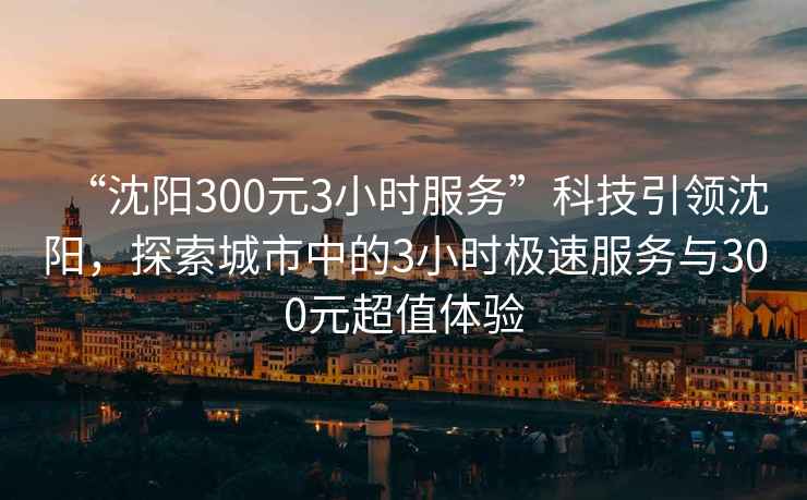 “沈陽(yáng)300元3小時(shí)服務(wù)”科技引領(lǐng)沈陽(yáng)，探索城市中的3小時(shí)極速服務(wù)與300元超值體驗(yàn)