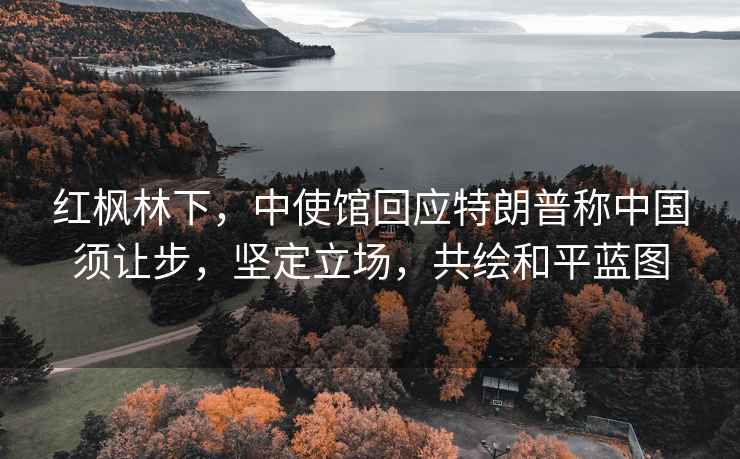 紅楓林下，中使館回應特朗普稱中國須讓步，堅定立場，共繪和平藍圖
