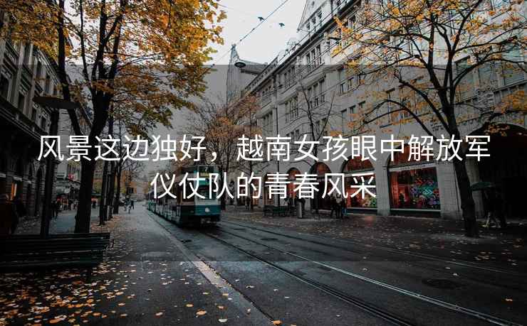 風(fēng)景這邊獨好，越南女孩眼中解放軍儀仗隊的青春風(fēng)采