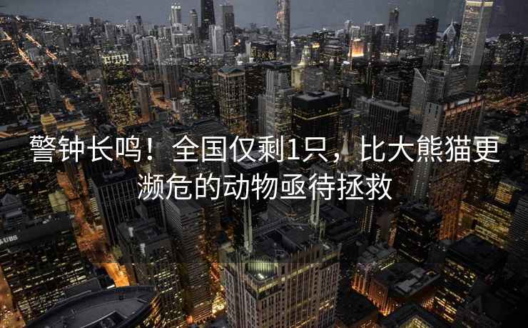 警鐘長鳴！全國僅剩1只，比大熊貓更瀕危的動物亟待拯救