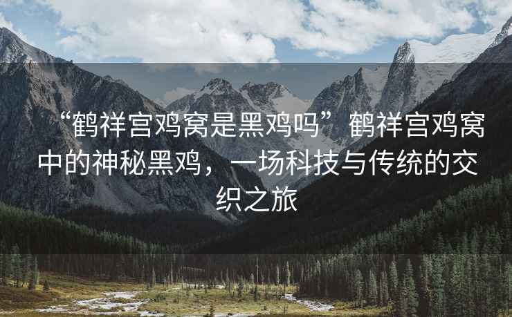 “鶴祥宮雞窩是黑雞嗎”鶴祥宮雞窩中的神秘黑雞，一場科技與傳統的交織之旅