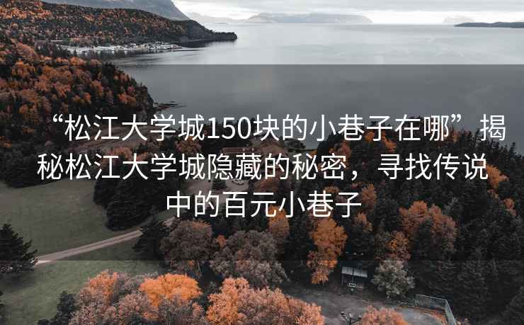 “松江大學城150塊的小巷子在哪”揭秘松江大學城隱藏的秘密，尋找傳說中的百元小巷子