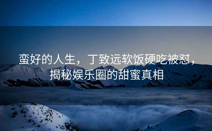 蠻好的人生，丁致遠軟飯硬吃被懟，揭秘娛樂圈的甜蜜真相