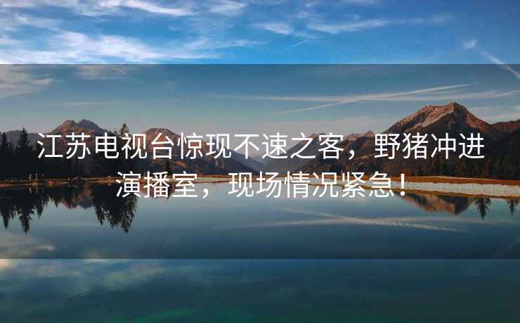 江蘇電視臺(tái)驚現(xiàn)不速之客，野豬沖進(jìn)演播室，現(xiàn)場(chǎng)情況緊急！