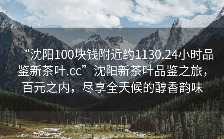 “沈陽100塊錢附近約1130.24小時品鑒新茶葉.cc”沈陽新茶葉品鑒之旅，百元之內，盡享全天候的醇香韻味