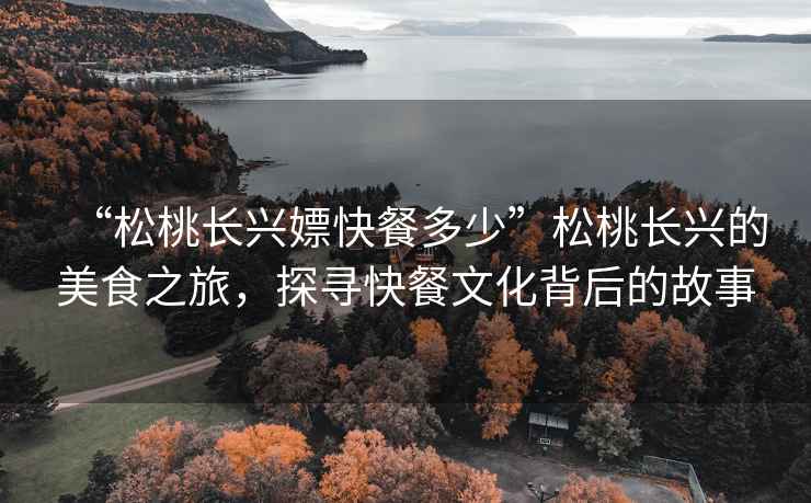 “松桃長(zhǎng)興嫖快餐多少”松桃長(zhǎng)興的美食之旅，探尋快餐文化背后的故事