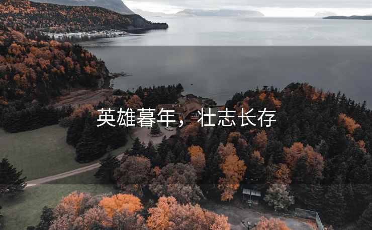 英雄暮年，壯志長存