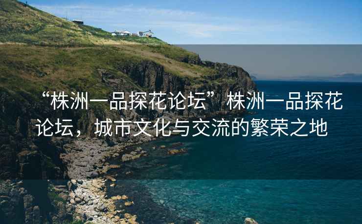“株洲一品探花論壇”株洲一品探花論壇，城市文化與交流的繁榮之地