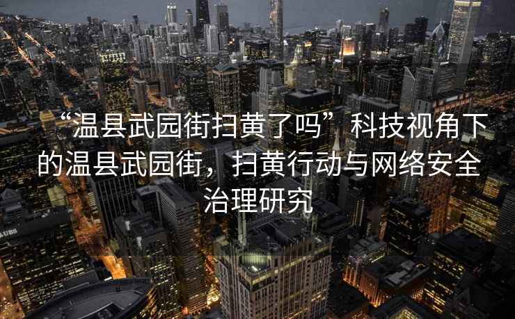 “溫縣武園街掃黃了嗎”科技視角下的溫縣武園街，掃黃行動與網絡安全治理研究