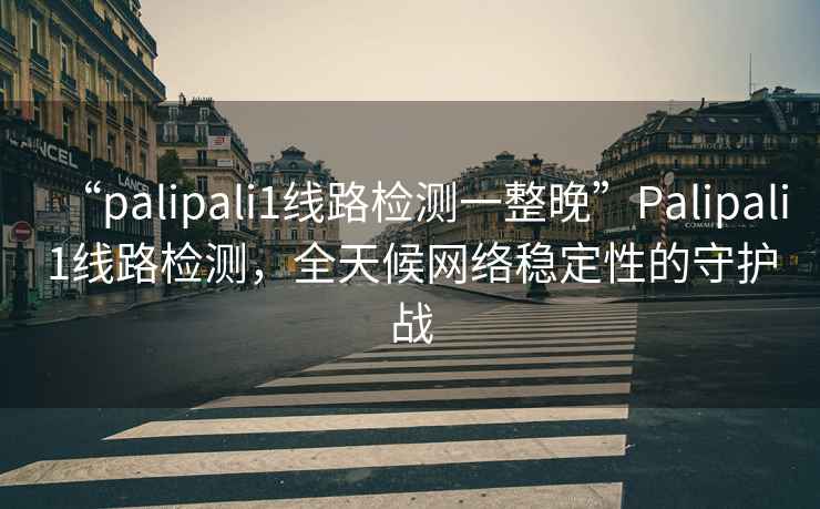 “palipali1線路檢測一整晚”Palipali1線路檢測，全天候網絡穩定性的守護戰