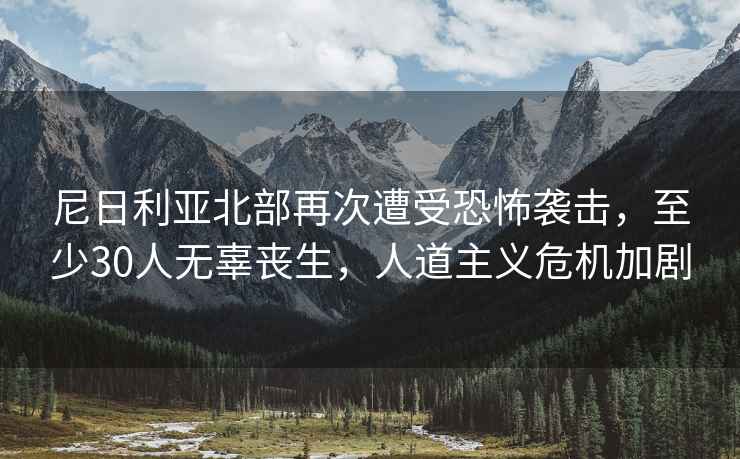 尼日利亞北部再次遭受恐怖襲擊，至少30人無辜喪生，人道主義危機加劇