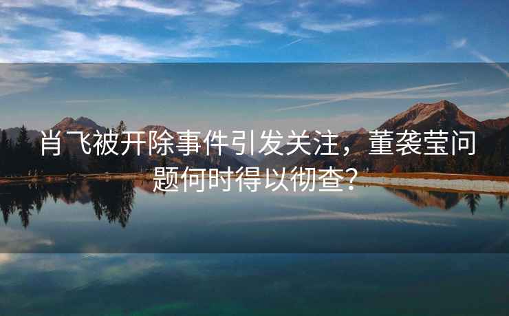 肖飛被開除事件引發(fā)關(guān)注，董襲瑩問題何時(shí)得以徹查？