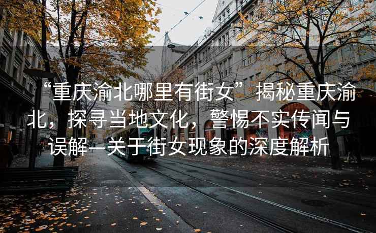 “重慶渝北哪里有街女”揭秘重慶渝北，探尋當地文化，警惕不實傳聞與誤解—關于街女現象的深度解析