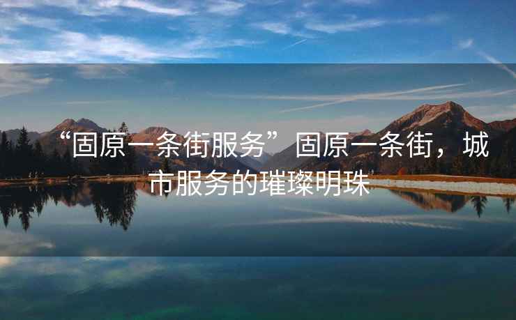 “固原一條街服務”固原一條街，城市服務的璀璨明珠