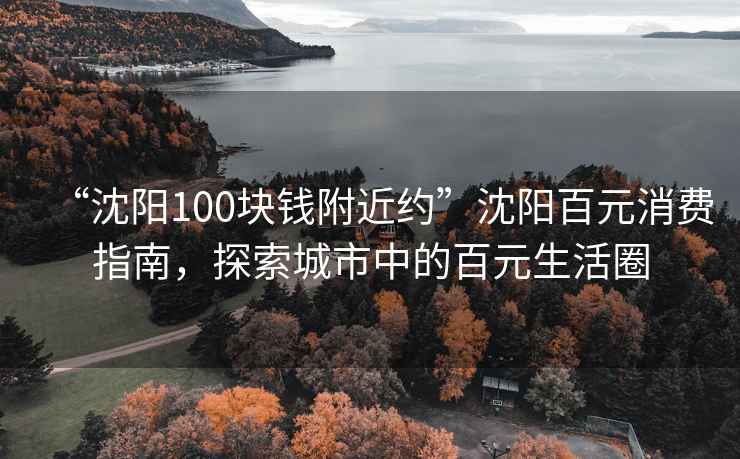 “沈陽100塊錢附近約”沈陽百元消費指南，探索城市中的百元生活圈