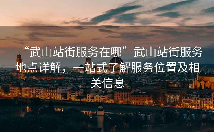“武山站街服務在哪”武山站街服務地點詳解，一站式了解服務位置及相關信息