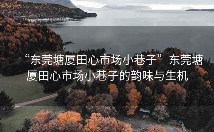 “東莞塘廈田心市場小巷子”東莞塘廈田心市場小巷子的韻味與生機