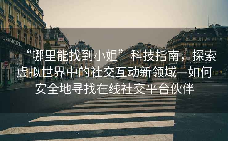 “哪里能找到小姐”科技指南，探索虛擬世界中的社交互動(dòng)新領(lǐng)域—如何安全地尋找在線社交平臺(tái)伙伴