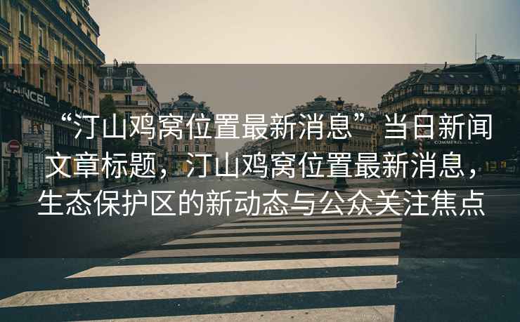 “汀山雞窩位置最新消息”當日新聞文章標題，汀山雞窩位置最新消息，生態保護區的新動態與公眾關注焦點