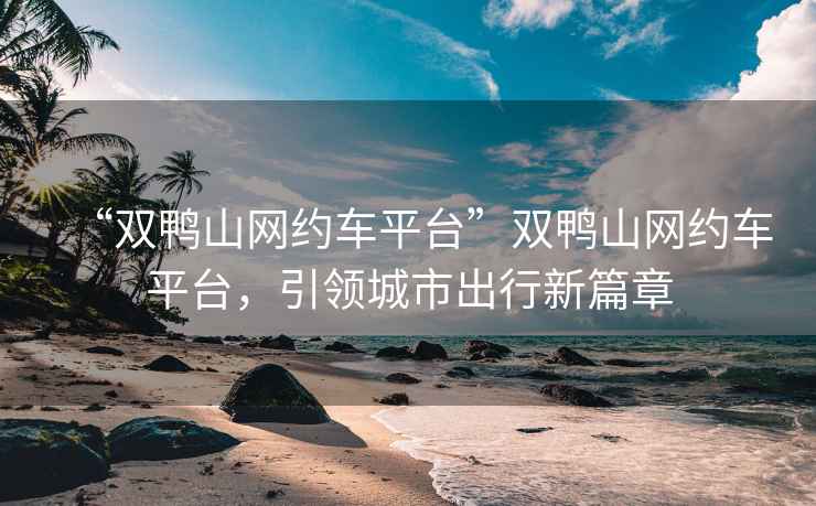 “雙鴨山網(wǎng)約車平臺(tái)”雙鴨山網(wǎng)約車平臺(tái)，引領(lǐng)城市出行新篇章