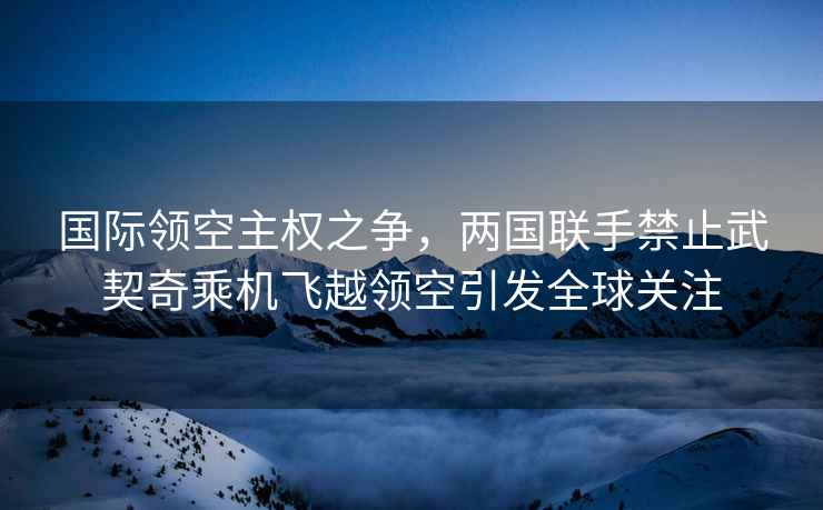 國際領空主權之爭，兩國聯手禁止武契奇乘機飛越領空引發全球關注