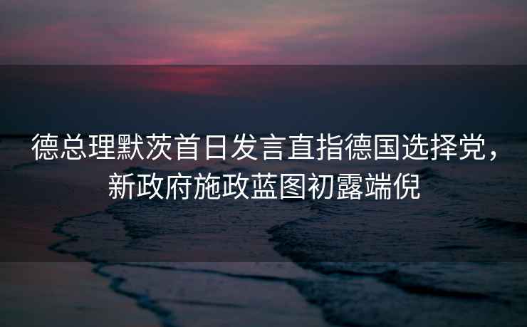 德總理默茨首日發言直指德國選擇黨，新政府施政藍圖初露端倪