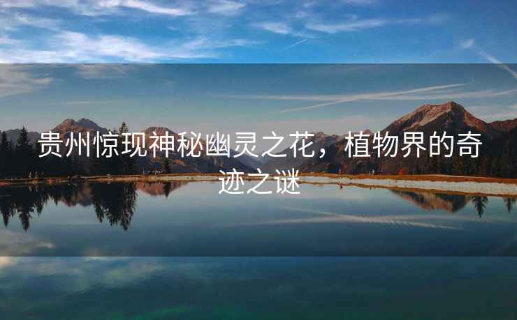貴州驚現神秘幽靈之花，植物界的奇跡之謎