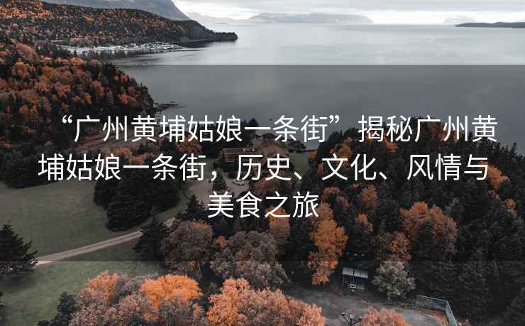 “廣州黃埔姑娘一條街”揭秘廣州黃埔姑娘一條街，歷史、文化、風(fēng)情與美食之旅
