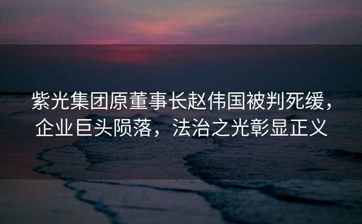 紫光集團(tuán)原董事長趙偉國被判死緩，企業(yè)巨頭隕落，法治之光彰顯正義