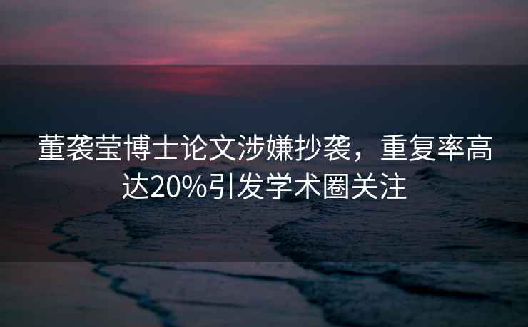 董襲瑩博士論文涉嫌抄襲，重復率高達20%引發學術圈關注